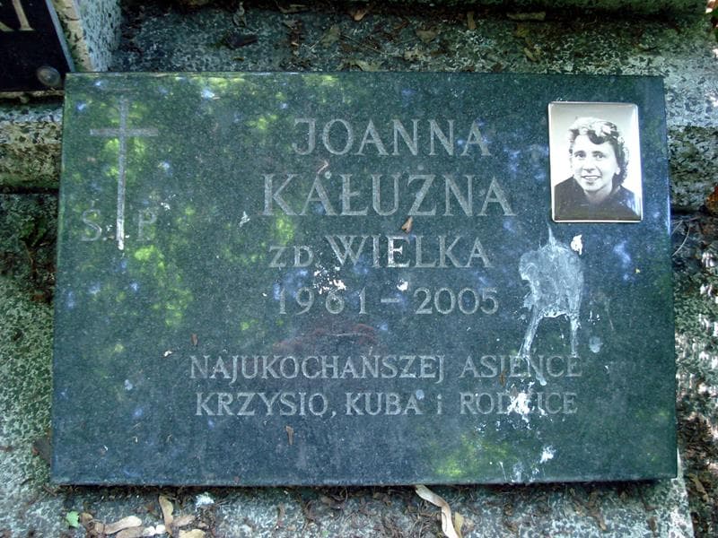 Zdjęcie grobu Leon Żmijewski (2)