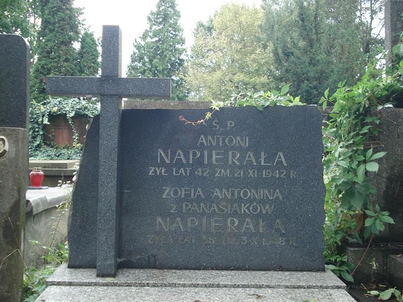 Zdjęcie grobu Antoni Napierała (2)