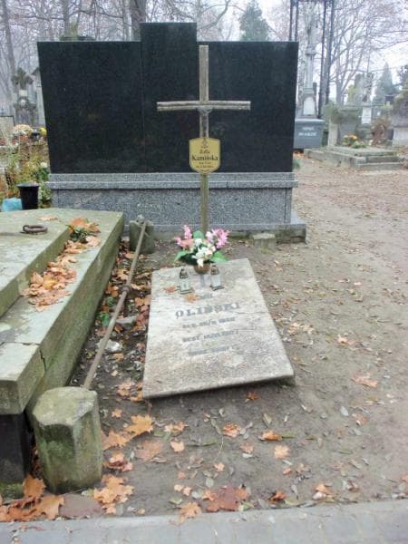 Zdjęcie grobu: Emil Oliński