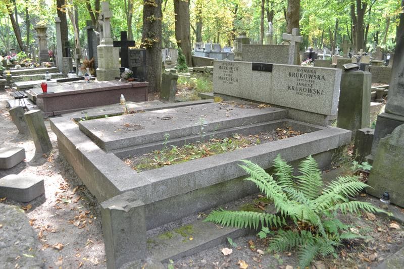 Zdjęcie grobu: Ryszard Marchela