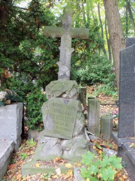 Zdjęcie grobu Apolonja Heinrich (1)