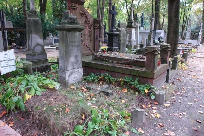 Zdjęcie grobu Aleksander Bielawski (1)