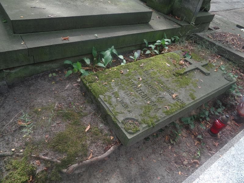Zdjęcie grobu: Bronisława Dzierzgowska