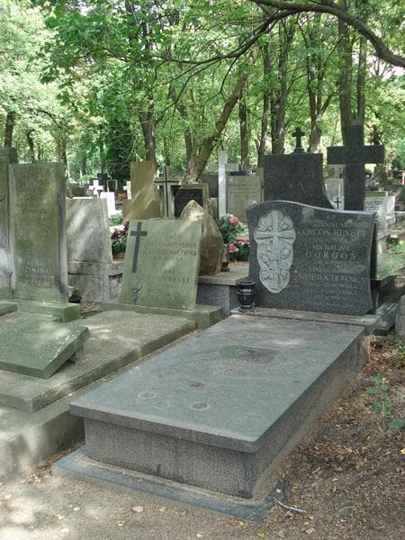 Zdjęcie grobu Michalina Gorgoń (1)