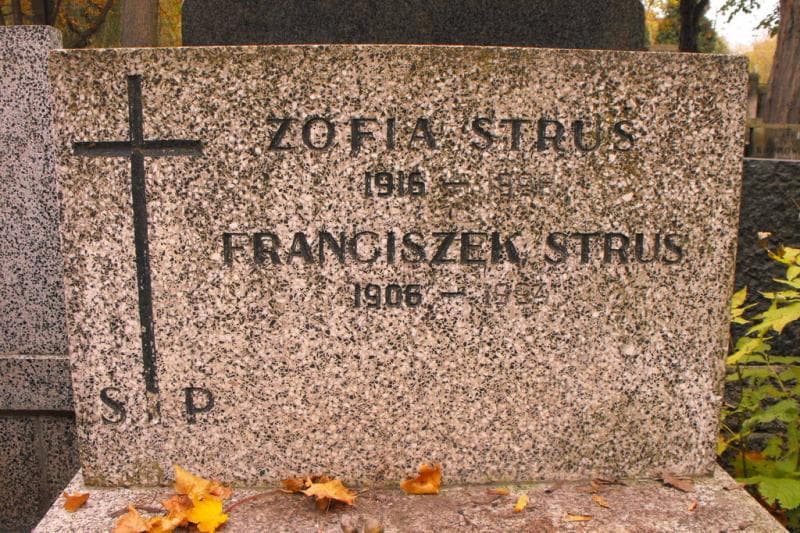 Zdjęcie grobu Franciszek Struś (2)