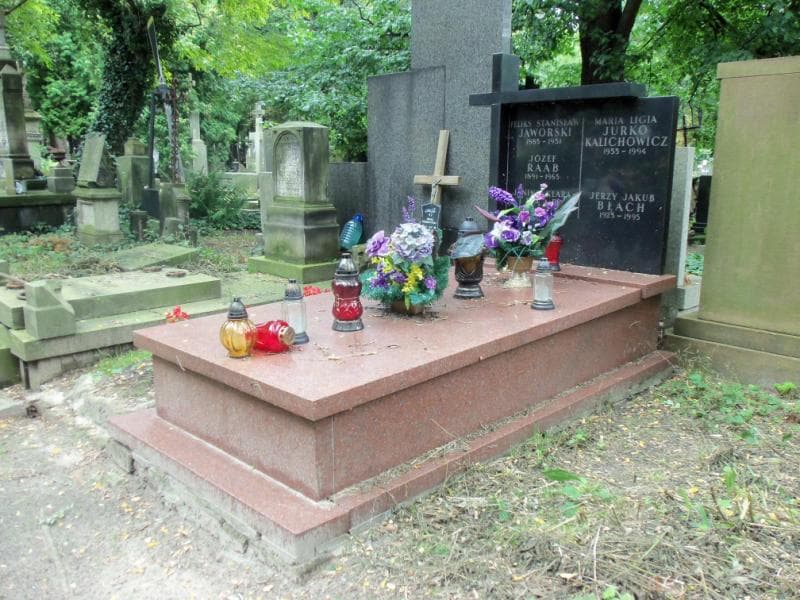 Zdjęcie grobu: Feliks Stanisław Jaworski