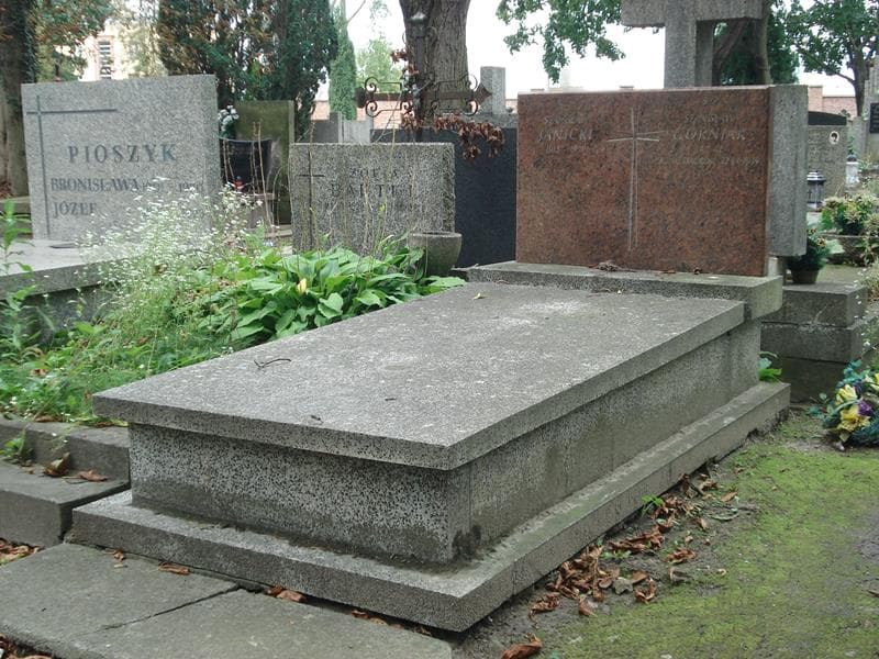 Zdjęcie grobu Stanisław Janicki (1)