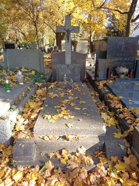 Zdjęcie grobu Stefania Wróbel (1)