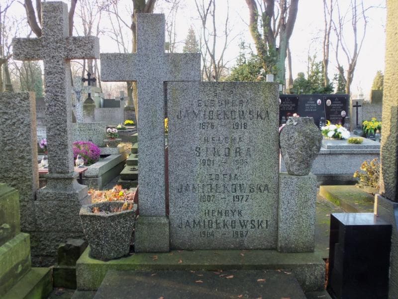 Zdjęcie grobu Henryk Jamiołkowski (2)