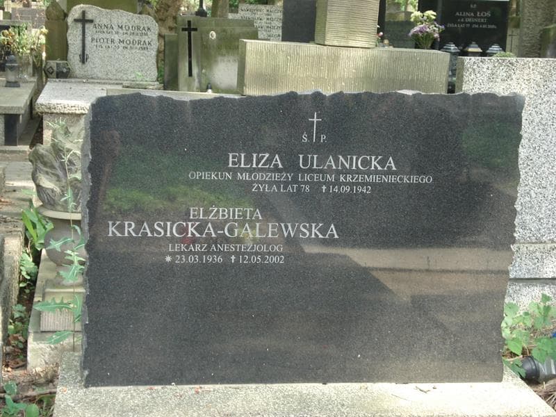 Zdjęcie grobu Eliza Ulanicka (2)