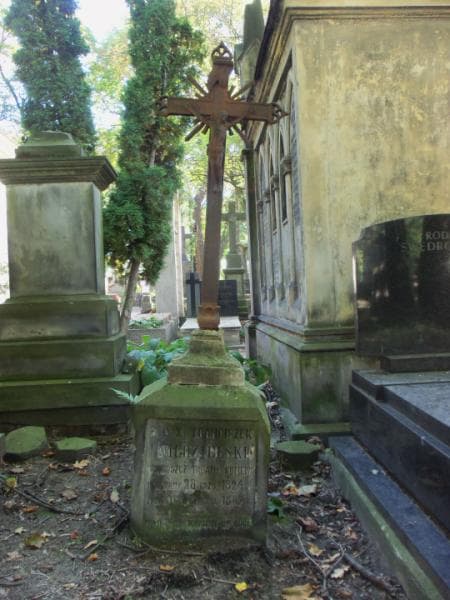 Zdjęcie grobu Franciszek Niedzielski (2)