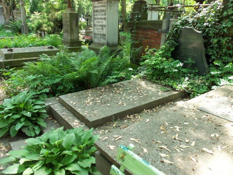 Zdjęcie grobu Antoni Czechowski (1)