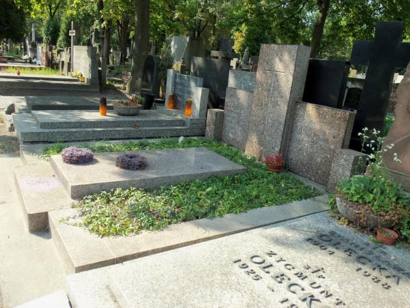 Zdjęcie grobu Ludwik Nartowski (1)