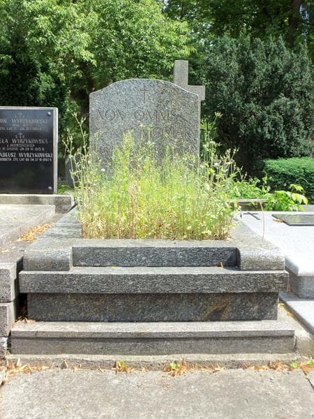 Zdjęcie grobu: Edwin Patyna