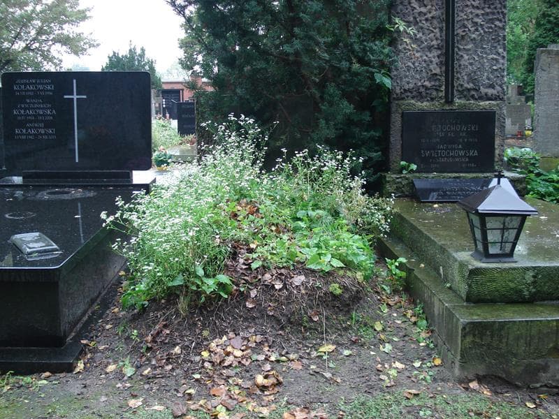 Zdjęcie grobu: Stanisław Ostrowski
