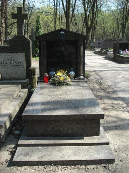 Zdjęcie grobu: Piotr Policzkowski