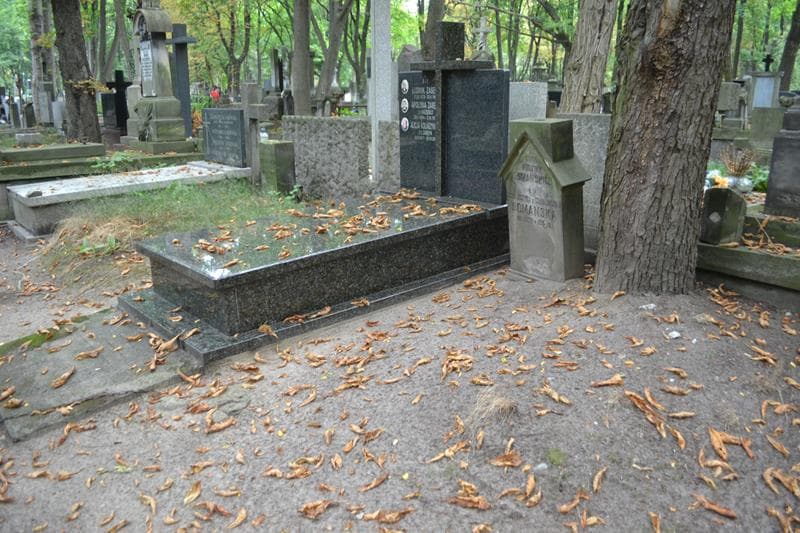 Zdjęcie grobu: Scholastyka Domańska