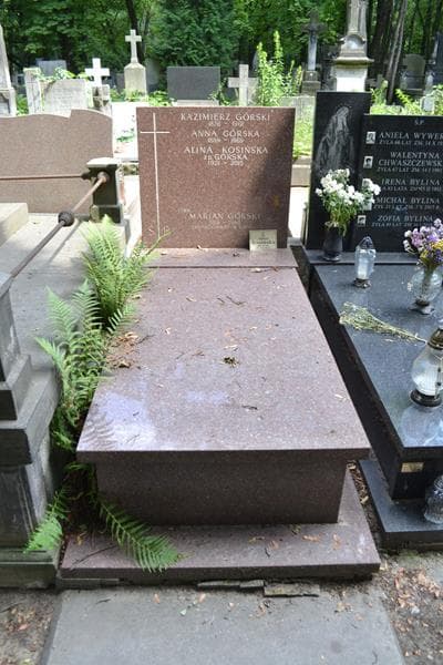 Zdjęcie grobu Marian Górski (1)
