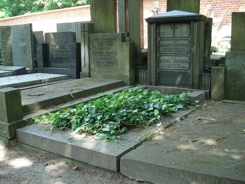 Zdjęcie grobu Walenty Rudziński (1)