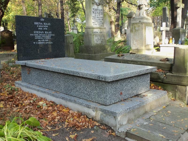 Zdjęcie grobu Stefan Haas (1)