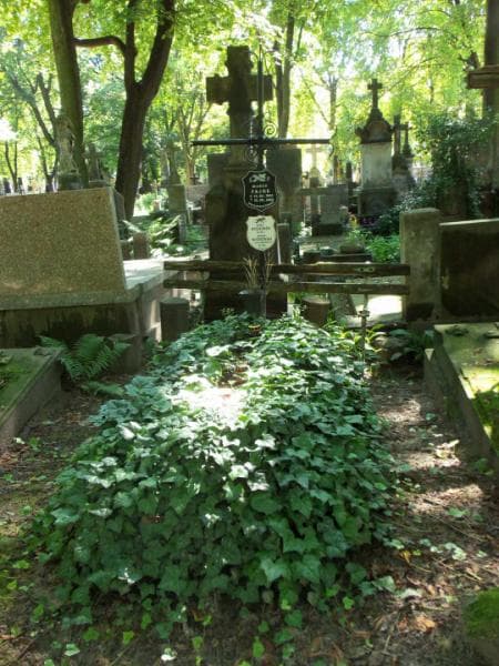 Zdjęcie grobu Józef Włodkowski (1)