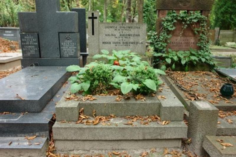 Zdjęcie grobu: Halina Białowiejska