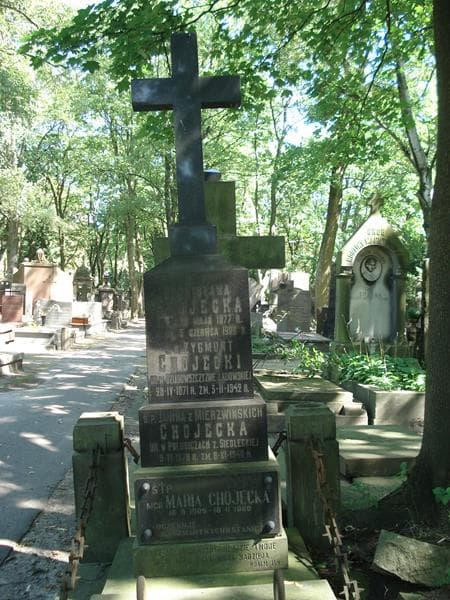 Zdjęcie grobu Zygmunt Chojecki (2)
