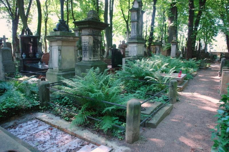 Zdjęcie grobu: Józef Zdzitowiecki