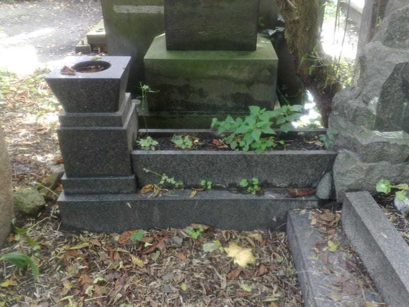 Zdjęcie grobu Zofia Tatarkiewiczowa (2)