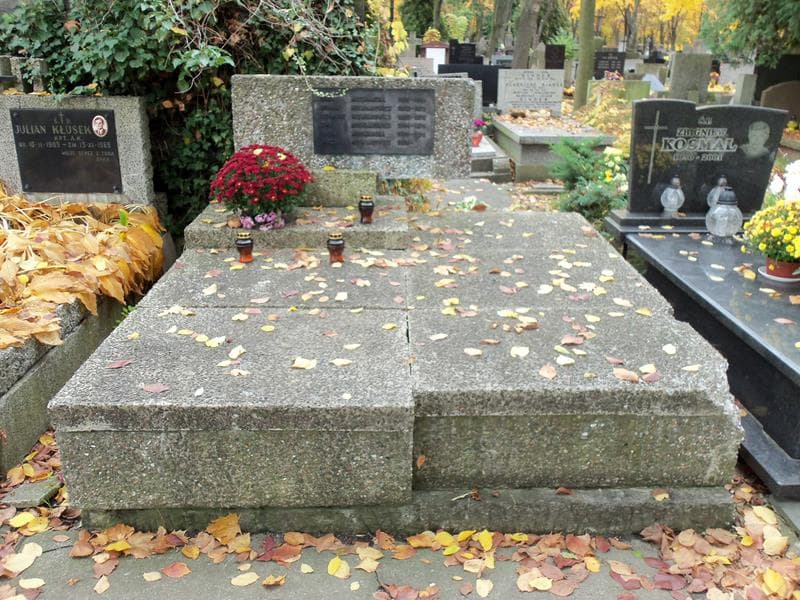 Zdjęcie grobu: Roman Niewiarowicz