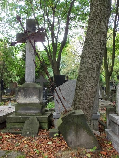 Zdjęcie grobu Józef Niedźwiecki (2)