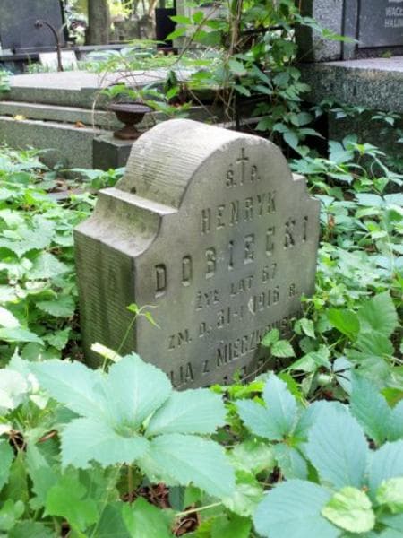 Zdjęcie grobu Henryk Dobiecki (2)