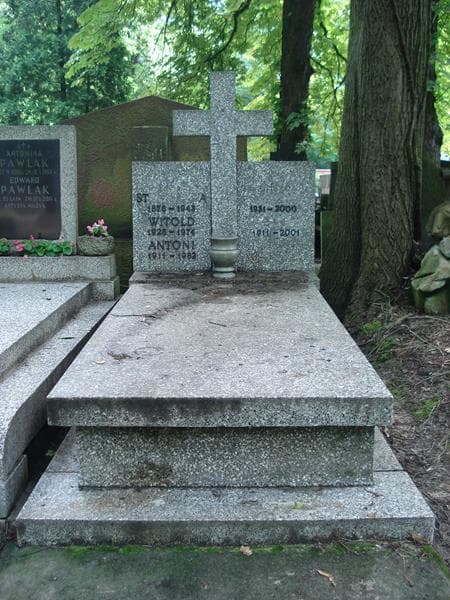 Zdjęcie grobu: Witold Babczyk