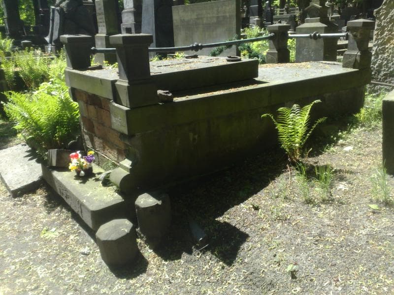 Zdjęcie grobu Ignacy Oppenheym (1)