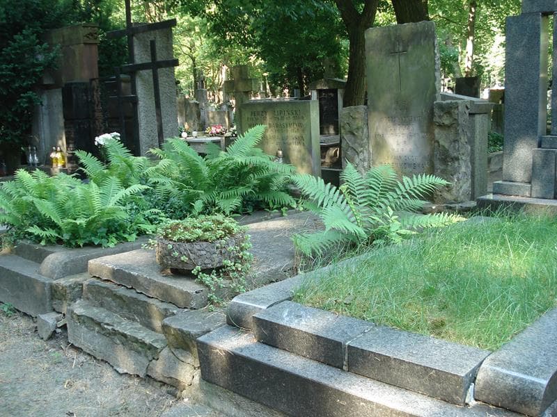 Zdjęcie grobu Maria Pedenkowska (1)
