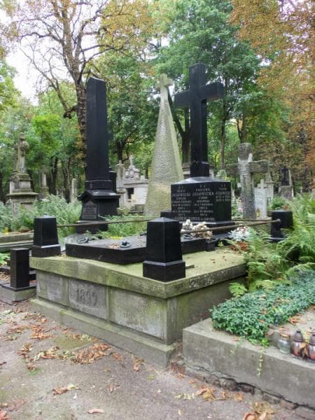 Zdjęcie grobu Adolf Jełowicki (1)