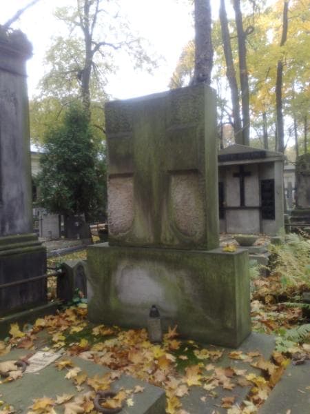 Zdjęcie grobu Zygmunt Janowski (1)