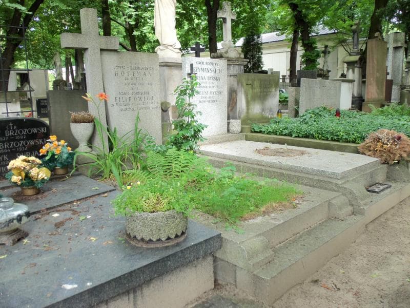 Zdjęcie grobu Józefa Hoffman (1)