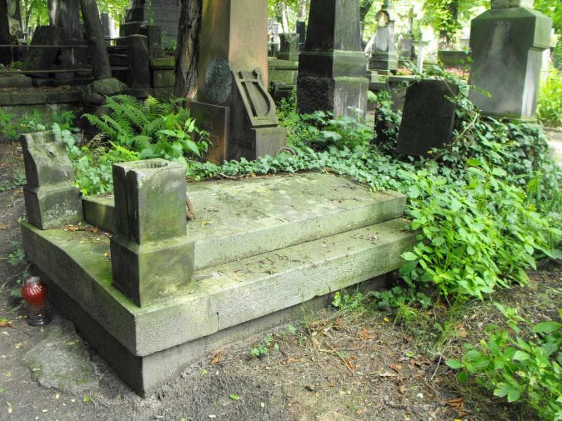 Zdjęcie grobu Szletyńscy (1)