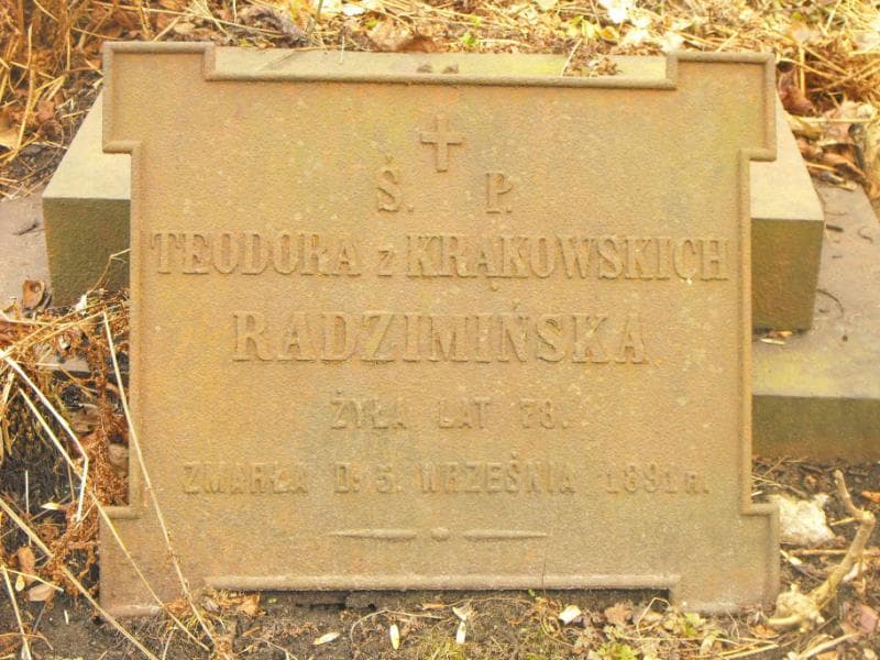 Zdjęcie grobu Emilia Strzęboszowa (1)