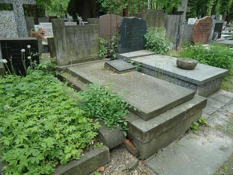 Zdjęcie grobu Stanisław Mierosławski (1)