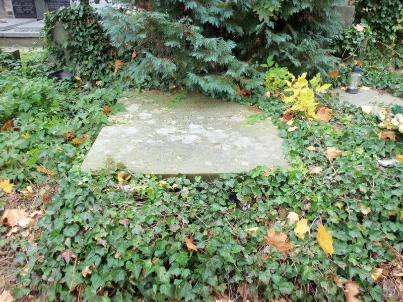 Zdjęcie grobu: Julia Brzeska