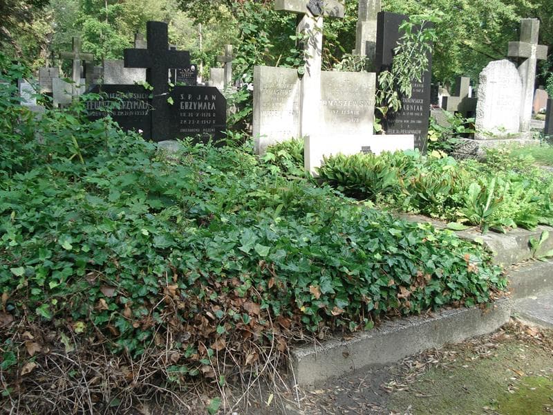 Zdjęcie grobu Jan Grzymała (1)