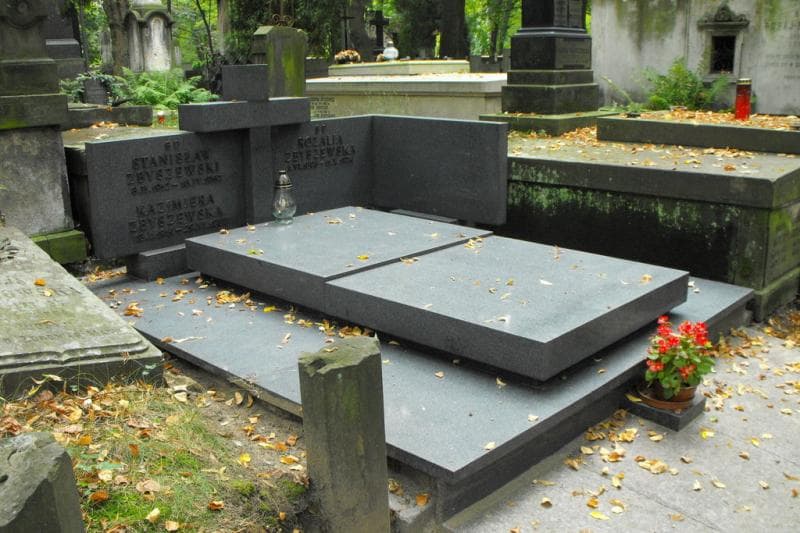 Zdjęcie grobu Stanisław Zbyszewski (1)