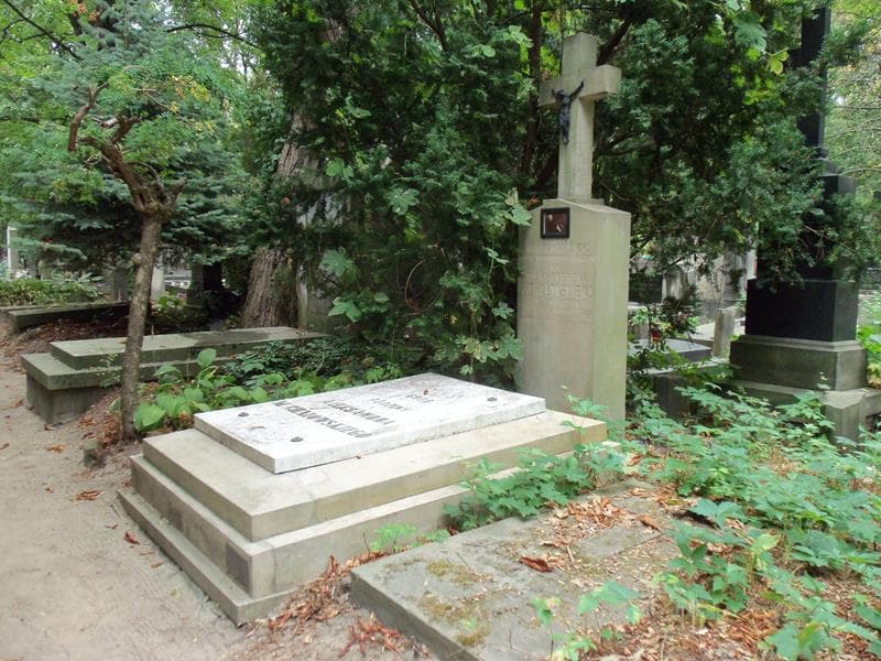 Zdjęcie grobu Aleksander Michałowski (1)