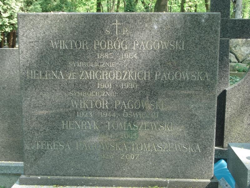 Zdjęcie grobu Henryk Tomaszewski (1)
