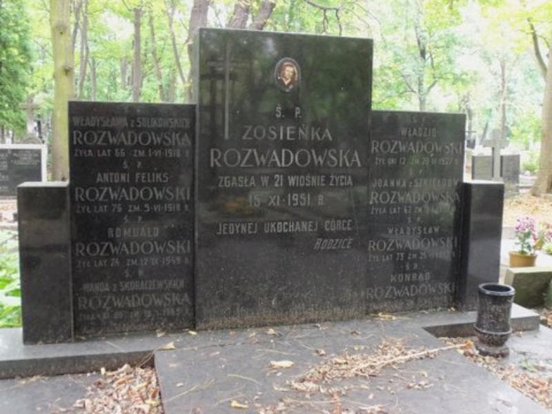 Zdjęcie grobu Władzio Rozwadowski (2)