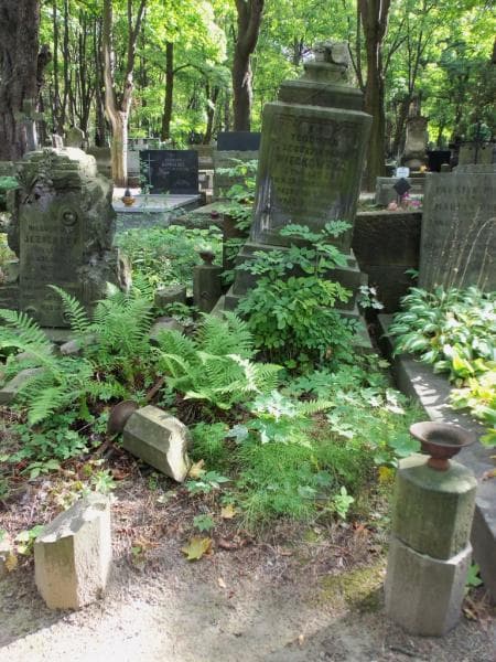 Zdjęcie grobu: Zygmunt Podolszyński