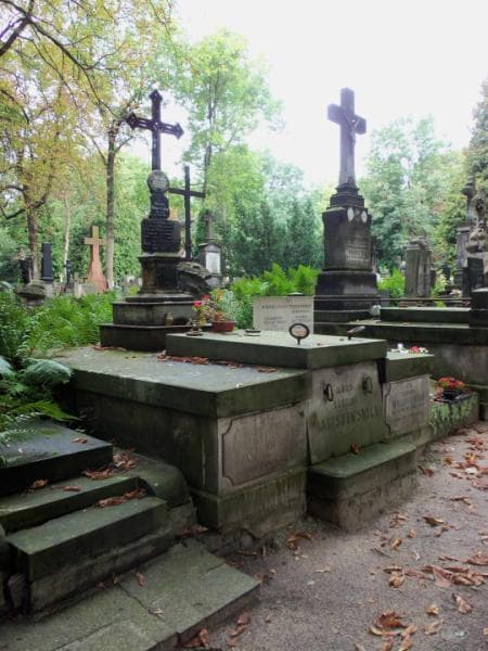 Zdjęcie grobu Ignacy Maliszewski (1)