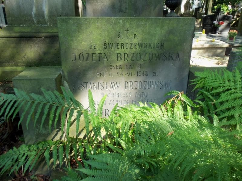 Zdjęcie grobu Józefa Brzozowska (1)